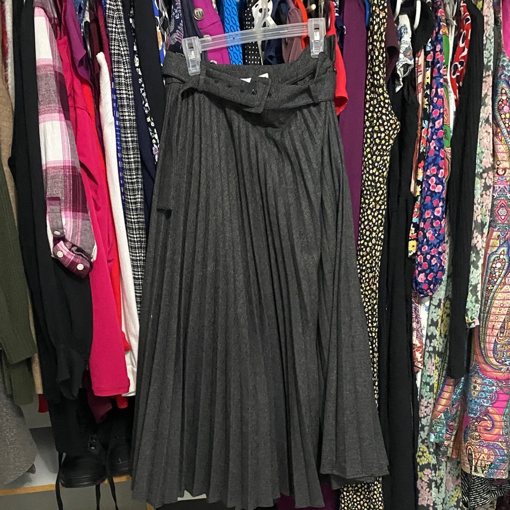 Zara Charcoal A-Line Pleated Skirt